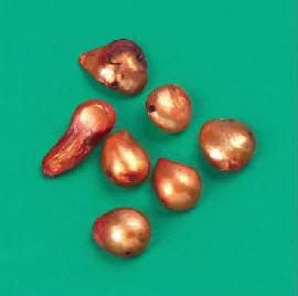 Süsswasser Perlen - 9-10mm - Rubin