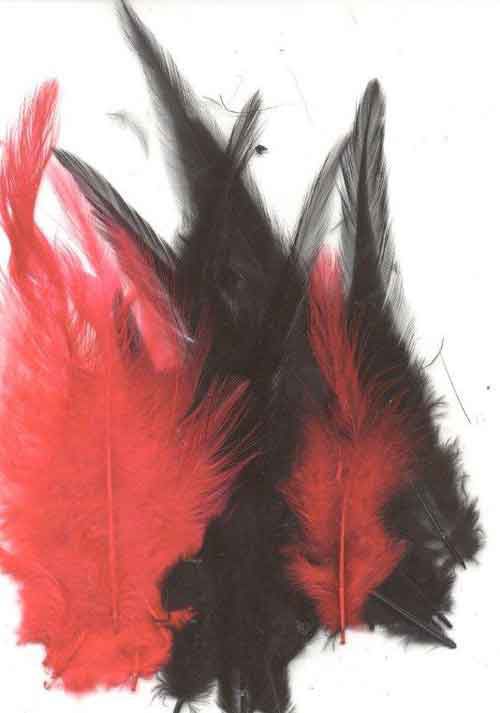 Plumes - Gala - 9-15cm - 15pcs