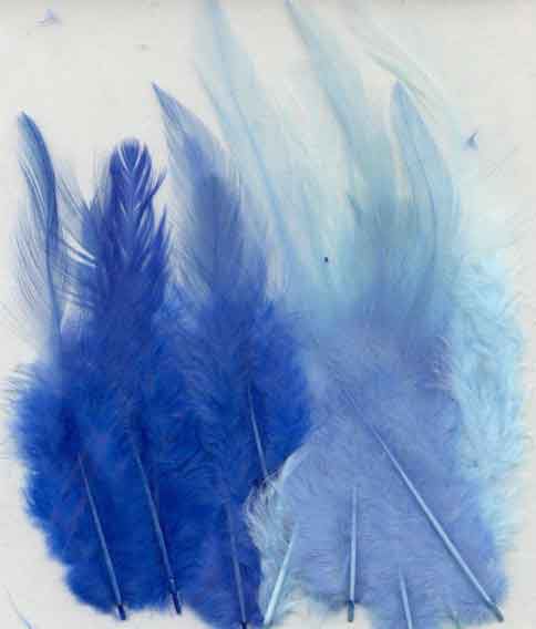 Plumes - Bleu - 9-15cm - 15pcs