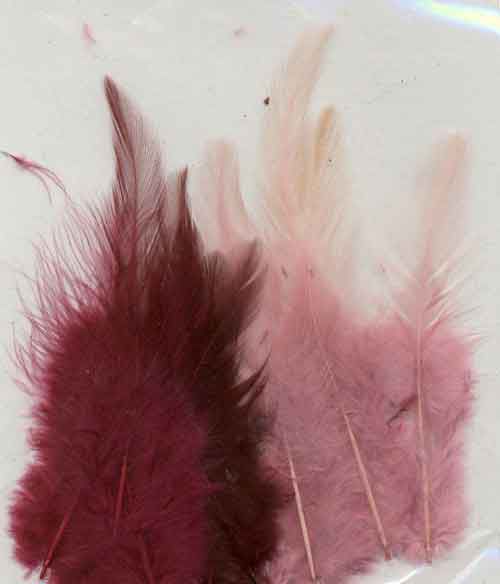 Plumes - Vin - 9-15cm - 15pcs