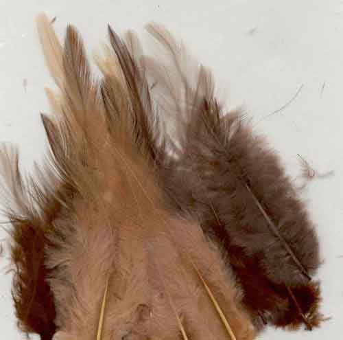 Plumes - Terre - 9-15cm - 15pcs