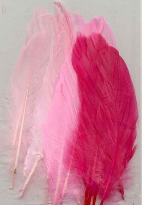 Plumes - Rose - 12,5-17,5cm - 15pcs
