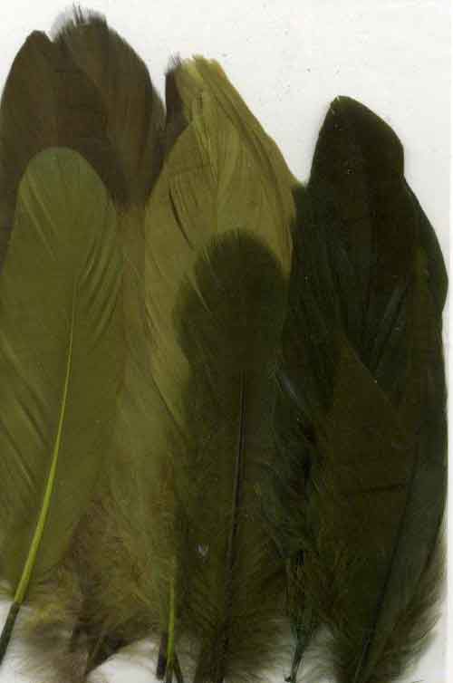 Veren - Groen -  12,5-17,5cm - 15 Stuks