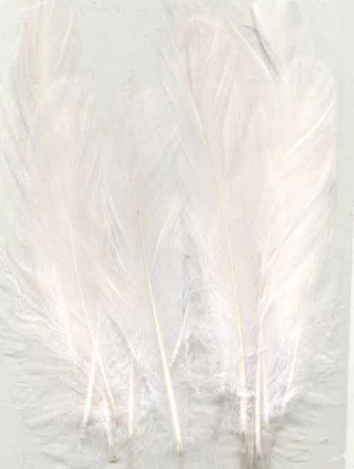 Plumes - Blanc - 12,5-17,5cm - 15pcs