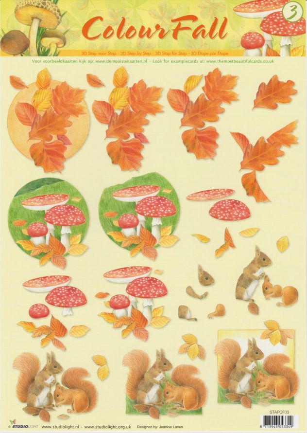 Colour Fall  - 3DA4 Stap voor Stap Knipvel