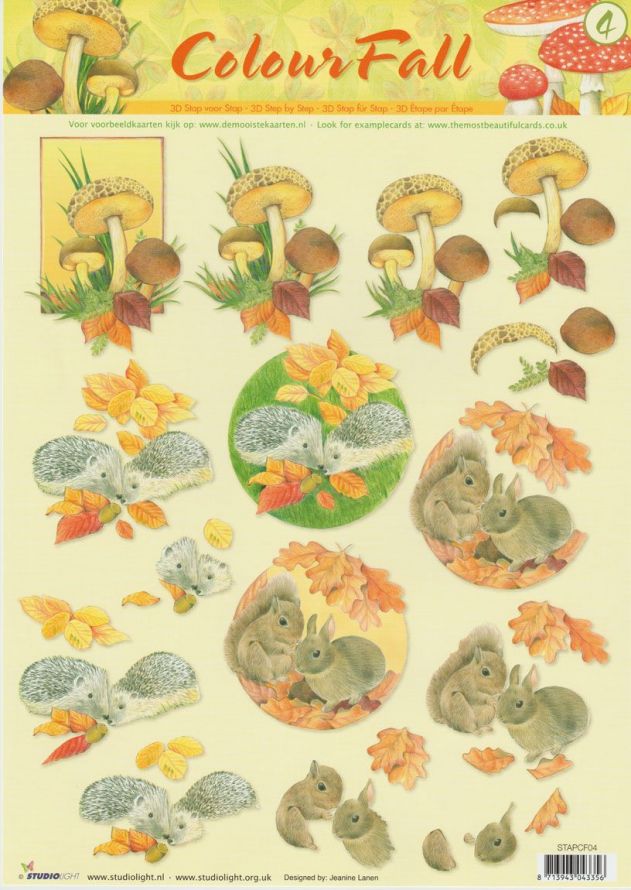 Colour Fall  - 3DA4 Stap voor Stap Knipvel