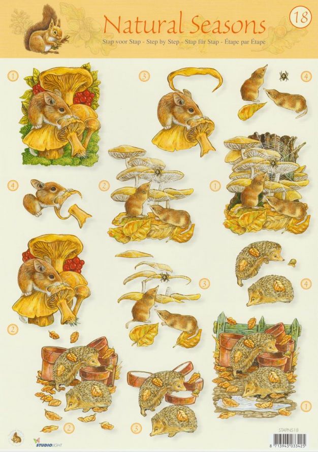 Natural Seasons  - 3DA4 Feuilles à Découper - Étape par Étape