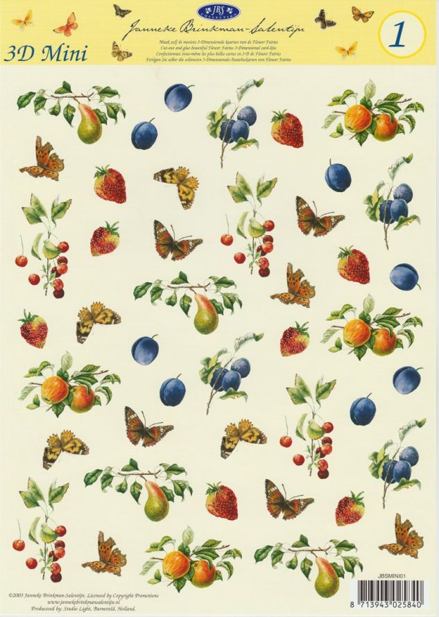 Janneke Brinkman Mini - 3DA4 Stap für Stap Schneidebogen