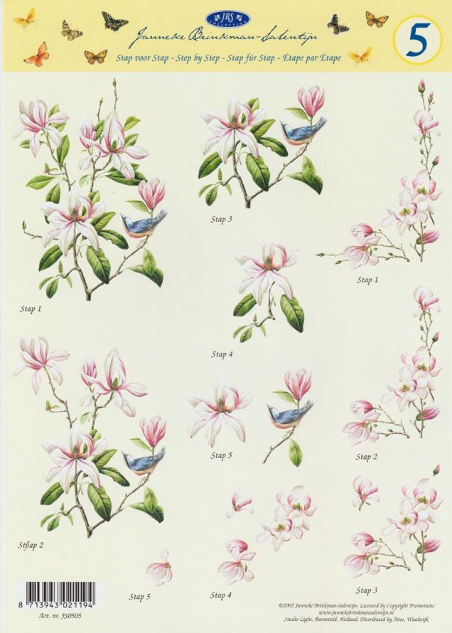 Janneke Brinkman - 3DA4 Stap für Stap Schneidebogen