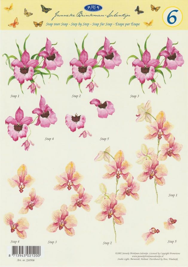 Janneke Brinkman - 3DA4 Stap für Stap Schneidebogen