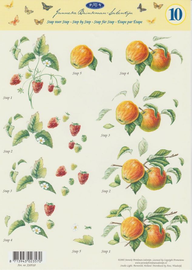 Janneke Brinkman - 3DA4 Stap für Stap Schneidebogen