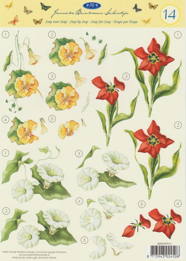 Janneke Brinkman Mini  - 3DA4 Stap für Stap Schneidebogen