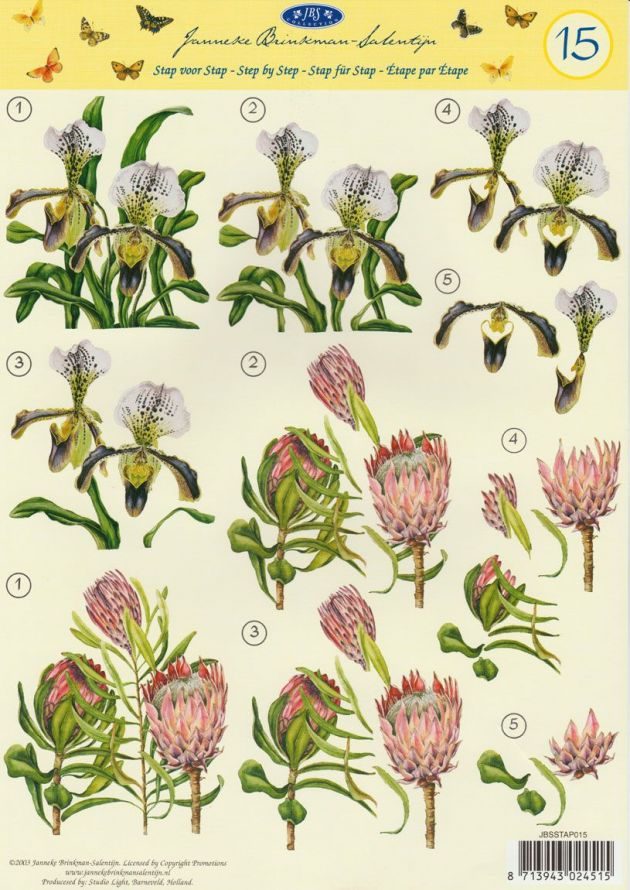 Janneke Brinkman - 3DA4 Stap für Stap Schneidebogen