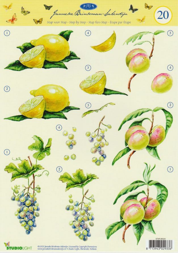 Janneke Brinkman - 3DA4 Stap für Stap Schneidebogen