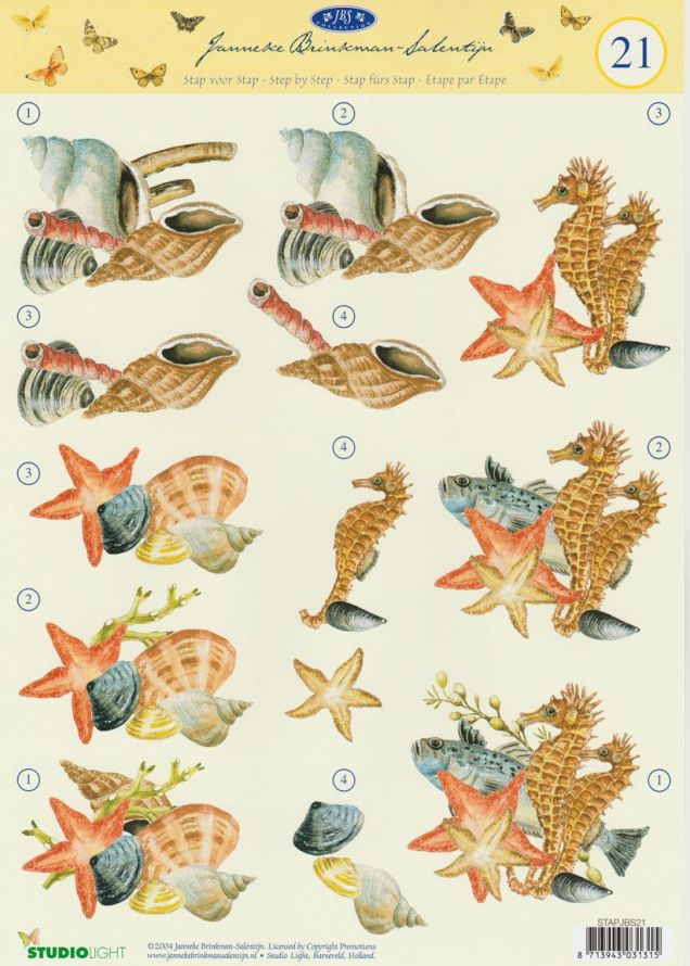 Janneke Brinkman - 3DA4 Stap für Stap Schneidebogen