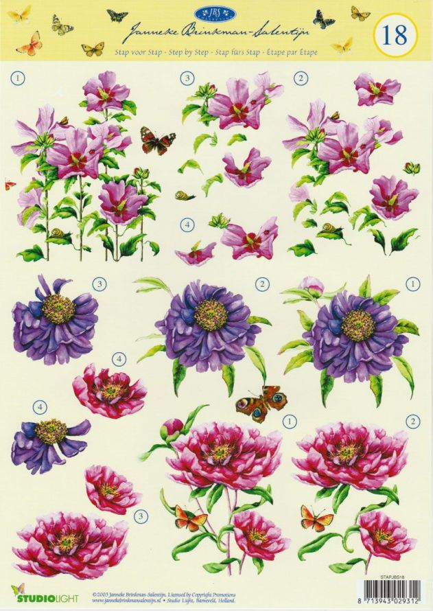 Janneke Brinkman - 3DA4 Stap für Stap Schneidebogen