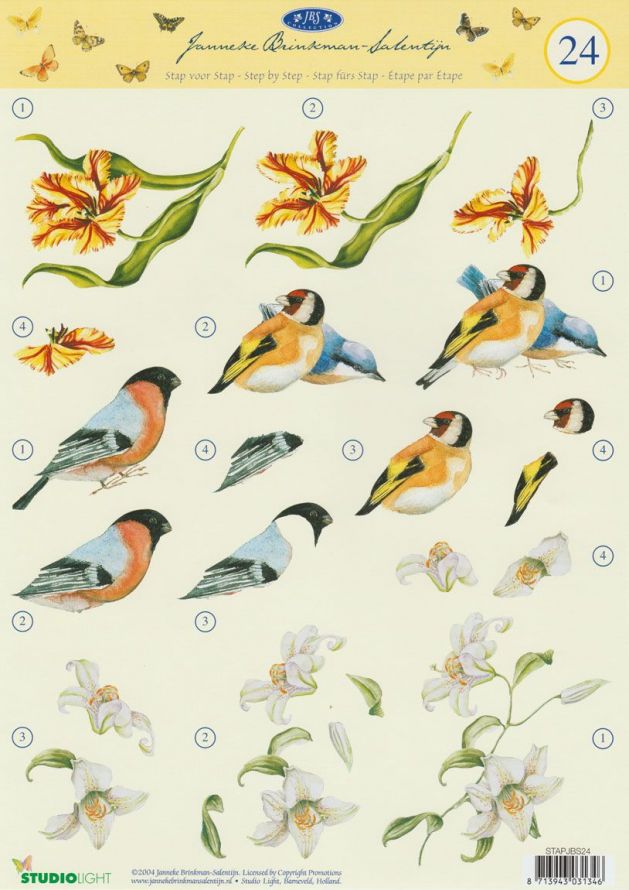 Janneke Brinkman - 3DA4 Stap für Stap Schneidebogen