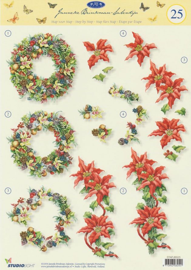 Janneke Brinkman - 3DA4 Stap für Stap Schneidebogen