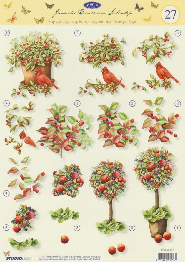 Janneke Brinkman - 3DA4 Stap für Stap Schneidebogen