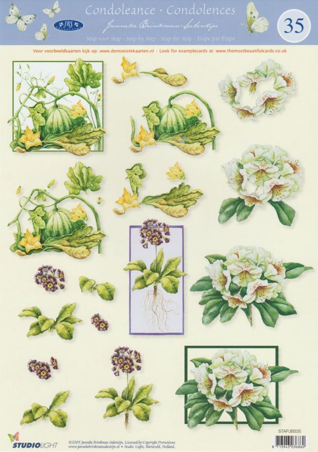 Janneke Brinkman - Condoléances - 3DA4 Feuilles à Découper - Étape par Étape