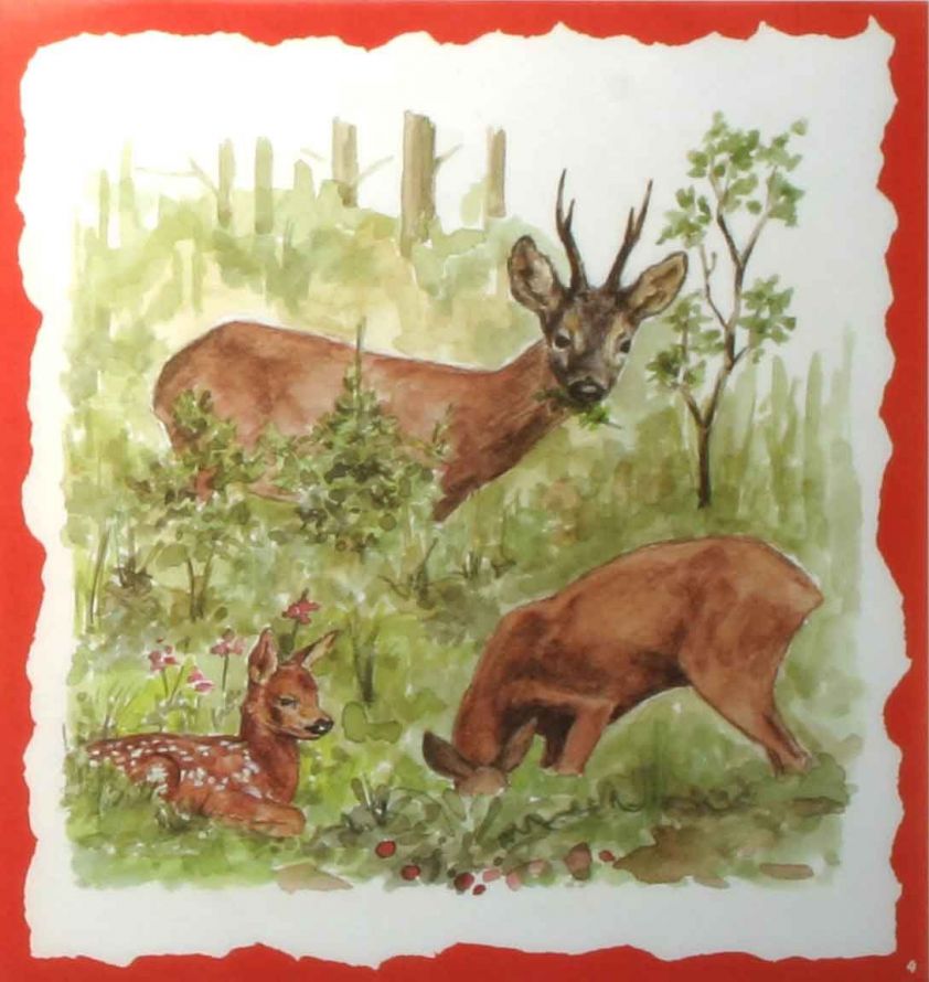 Hirsch - Decor Vloei