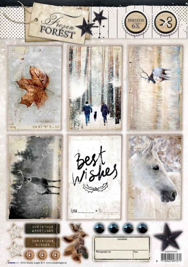 Frozen Forest - Kerst - 3DA4 Foto Stansvel