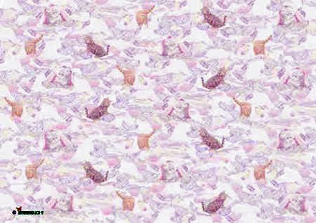 Katzen - Abbildung Doppelkarten Packung