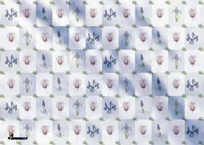 Blumen - Karton Abbildung Block