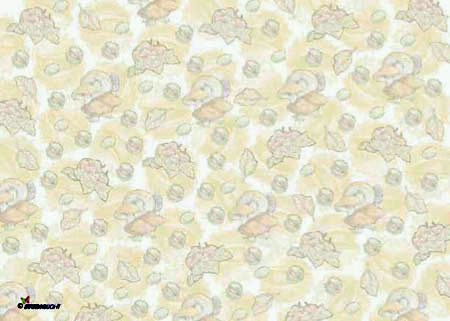 Pilz - Karton Abbildung Block