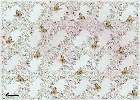 Vögel und Schmetterlingen - Karton Abbildung Block