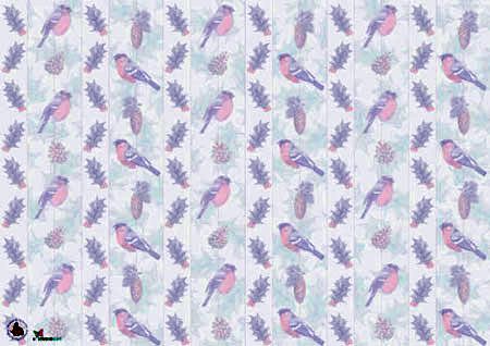 Natural Seasons - Soft Image Double Cartes Paquet