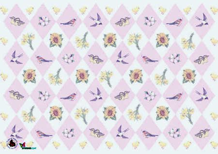 Natural Seasons - Abbildung Doppelkarten Packung