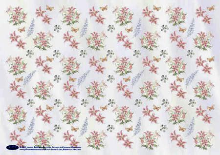 Janneke Brinkman - Soft Image Double Cartes Paquet