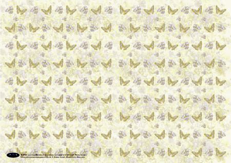 Janneke Brinkman - Abbildung Doppelkarten Packung