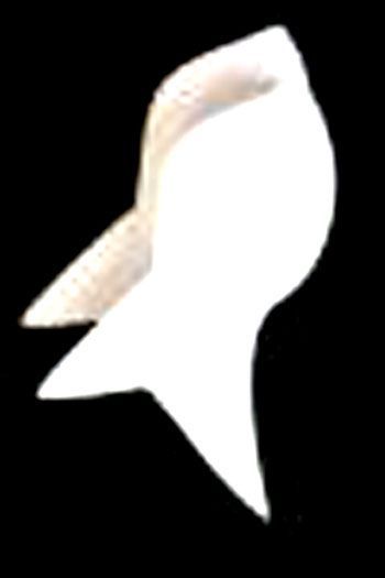 Fisch - Styropor Tierkreiszeichen - 20cm