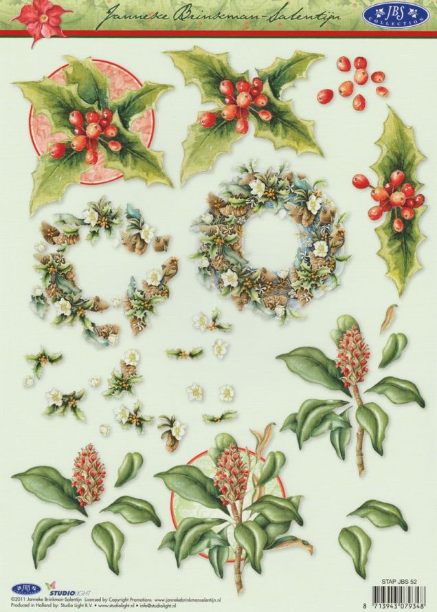 Janneke Brinkman - 3DA4 Stap für Stap Schneidebogen