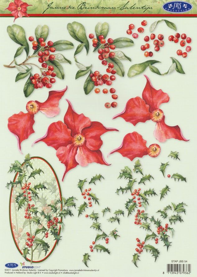 Janneke Brinkman - 3DA4 Stap für Stap Schneidebogen