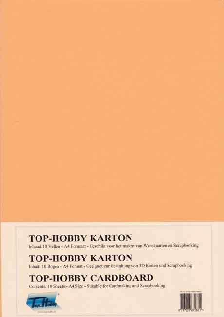 A4 Carton pâquet - Melon - 10 Feuilles