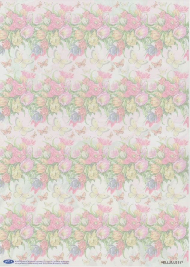 Janneke Brinkman - Vellum - A4