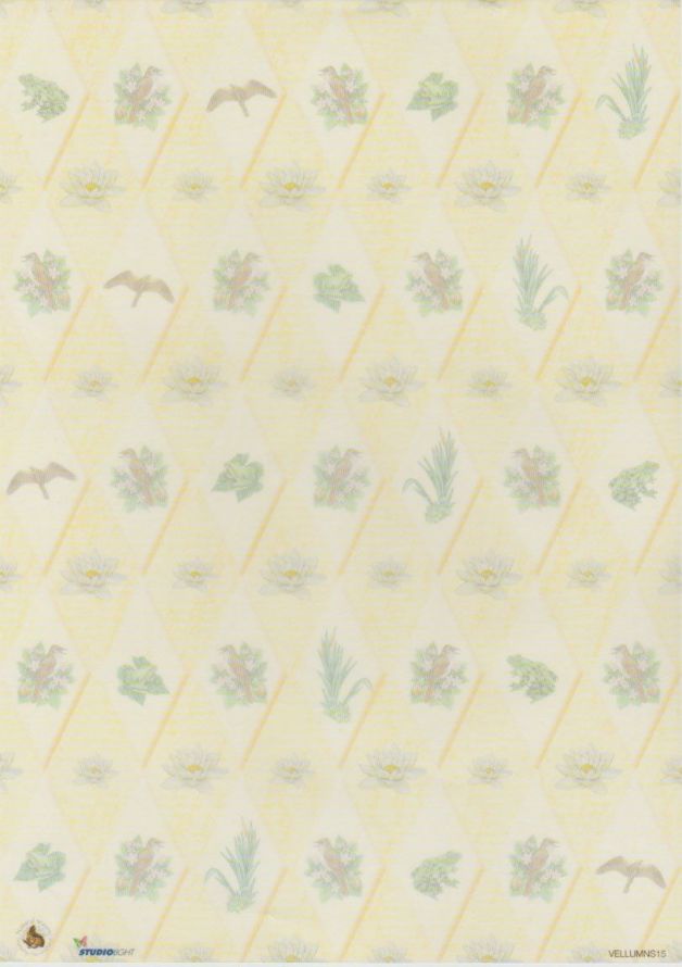 Natural Seasons - Vellum - A4