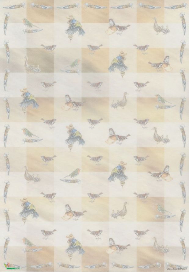 Animals  - Vellum - A4