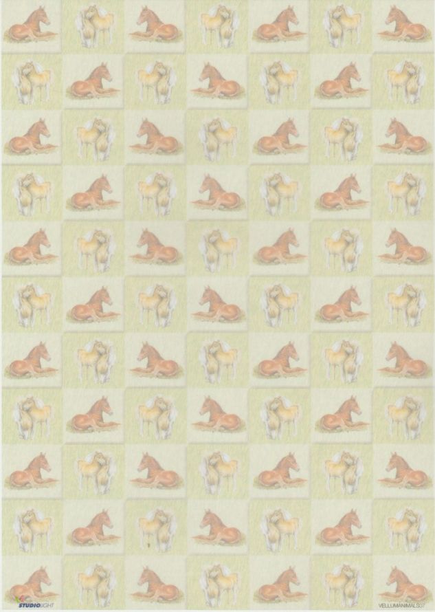 Animals  - Vellum - A4