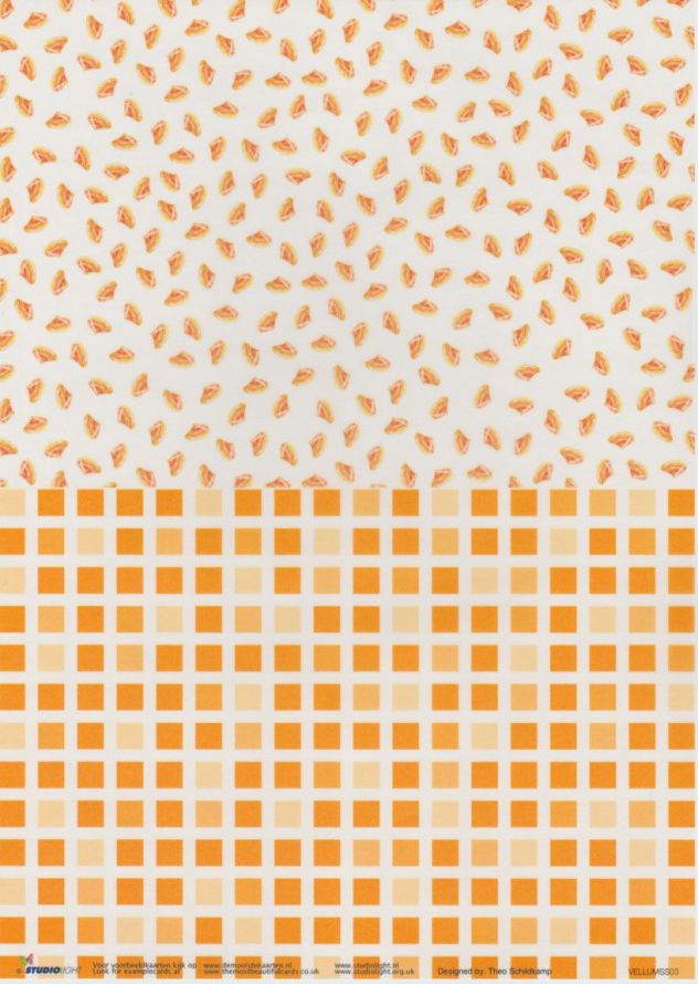 Sea Sight  - Vellum - A4