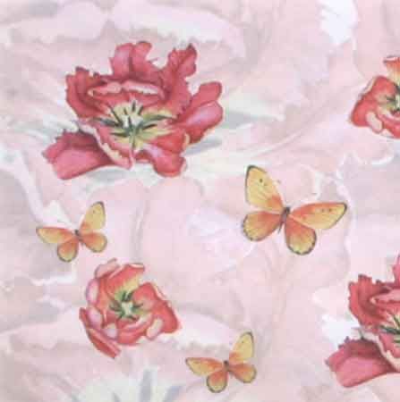 Janneke Brinkman  - Buvard - A3 Format