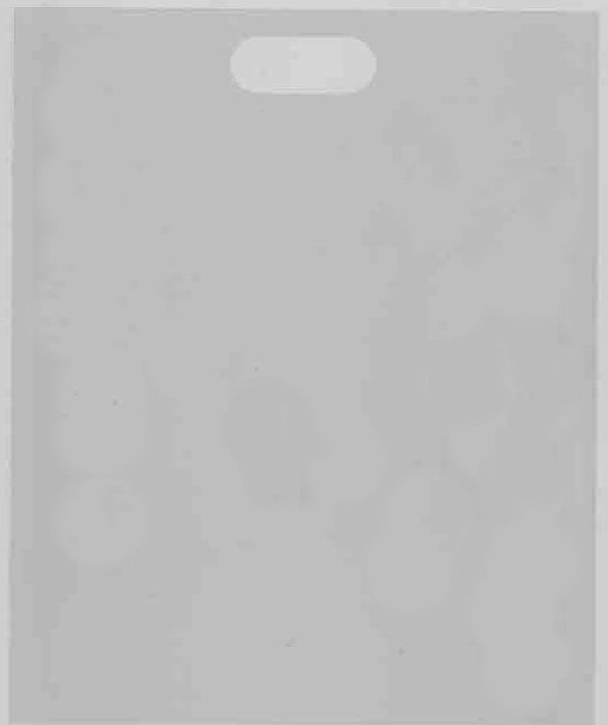 Flachbeutel - Transparent - 16x19cm