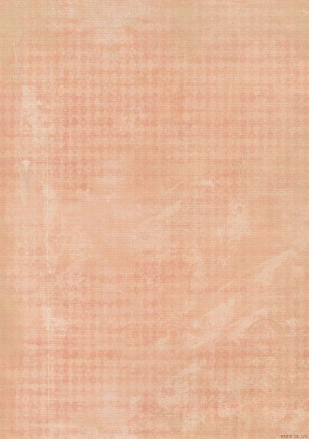 Vintage - Grund Papier - Doppelseitiges Druck A4