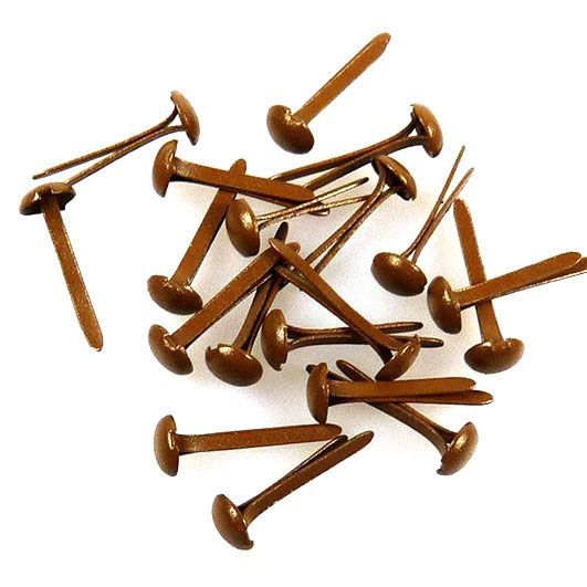 Attaches Parisiennes - Brun - 40 pcs