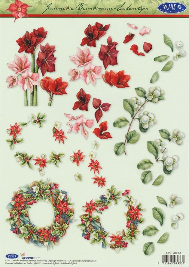 Janneke Brinkman - 3DA4 Stap für Stap Schneidebogen