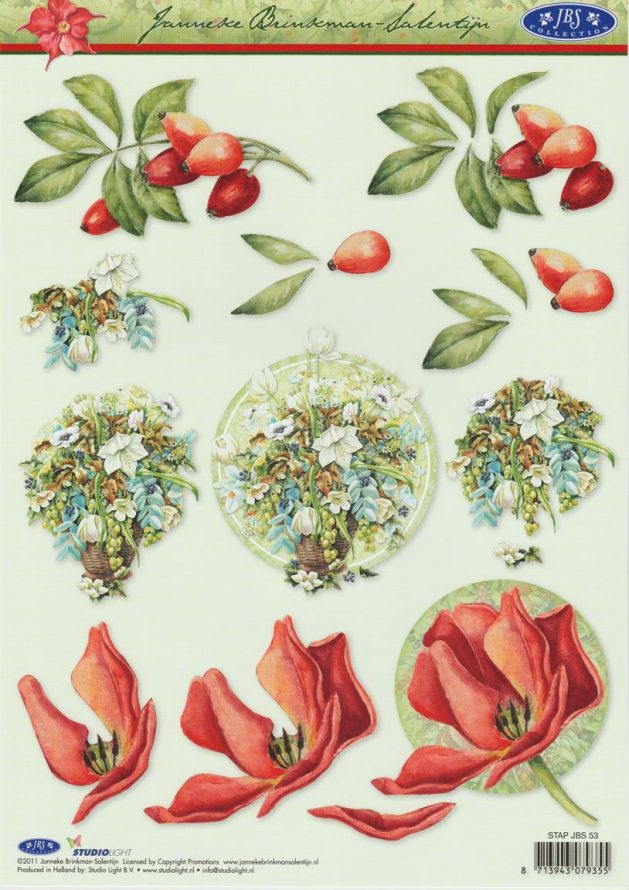 Janneke Brinkman - 3DA4 Stap für Stap Schneidebogen