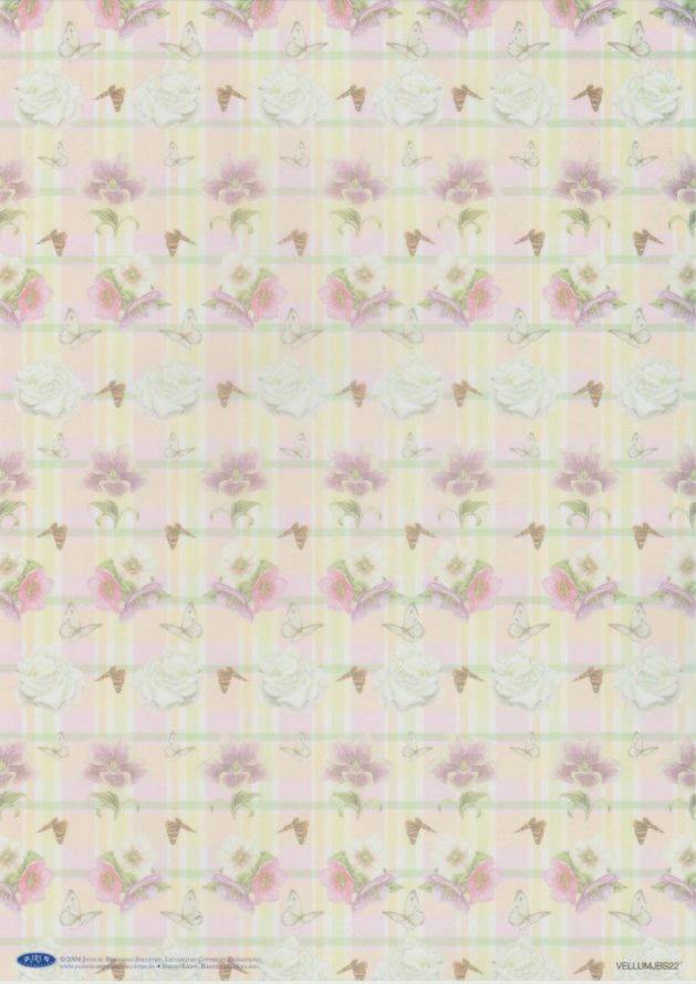 Janneke Brinkman - Vellum - A4